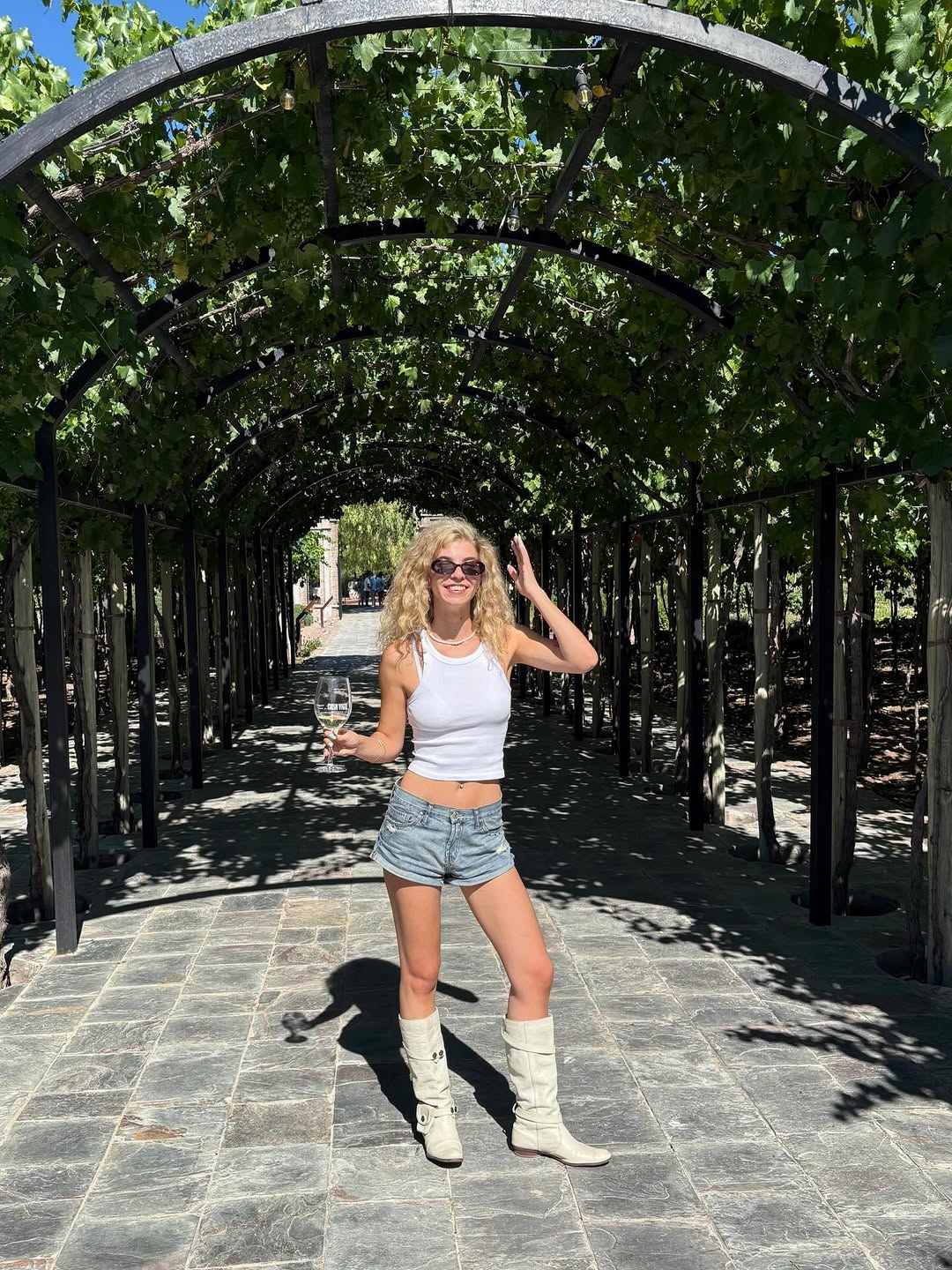 Delfi Palladino — bodegas